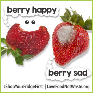 Stop Food Waste